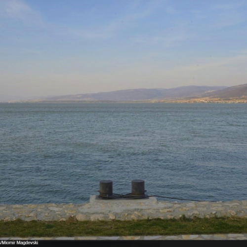 Najveća širina Dunava